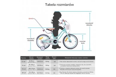 Bicycle TOMABIKE PLAT-XX-1401-Orange 3