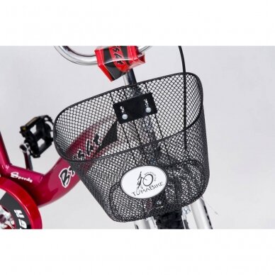 Dviratis ELGROM BMX-1200-Red 10