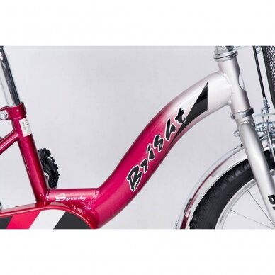 Dviratis ELGROM BMX-1200-Red 2