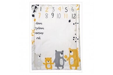 Photo blanket YELLOW BEARS 1