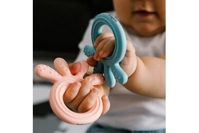 Teether BabyOno OCTOPUS, 826/02 3