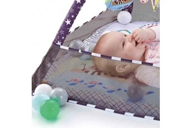 Multifunctional playmat with 18 balls Blue Animals 5