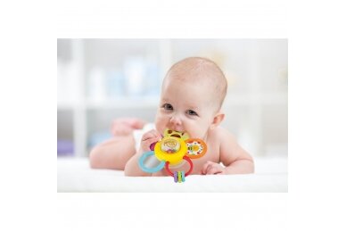 Daisy Spin Rattle 'N Teether Winfun 0776 3