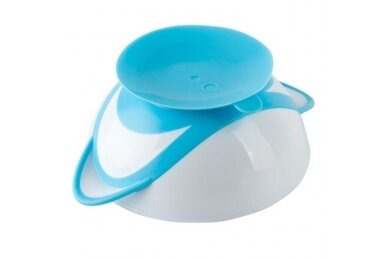 Suction bowl with spoon BabyOno 1063/01 1