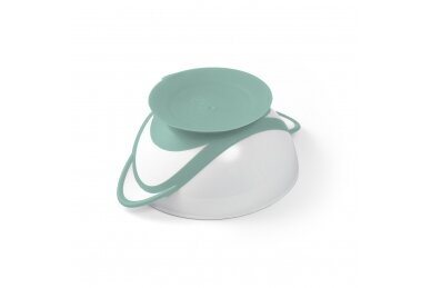 Suction bowl with spoon BabyOno 1063/04 2