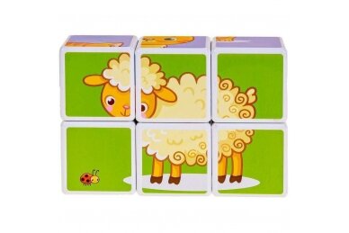 Magnetic blocks Smily Play FARM 6