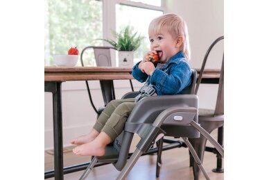 Highchair Ingenuity  SMARTSERVE Connolly 5