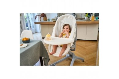 Chicco Baby highchair BABY HUG PRO 5in1, Beige Latte 10