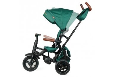 Tricycle QPlay RITO DELUXE Rubber Green 3