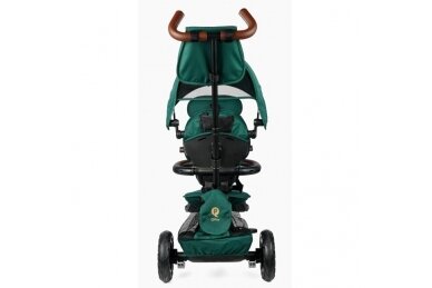 Tricycle QPlay RITO DELUXE Rubber Green 4