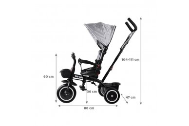 Tricycle SP0650 - TINY BIKE - EVA Grey 1