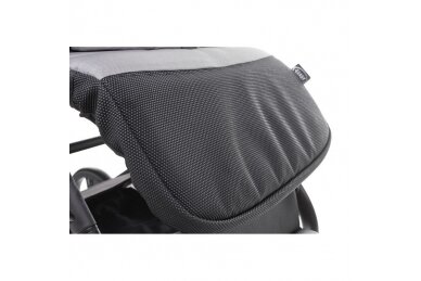 Pushchair 4baby TWIZZY XXIII Grey 9