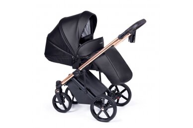 Stroller Coletto FADO ECO 2in1, 02 1