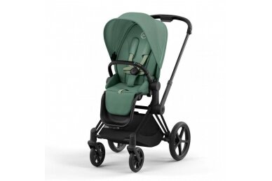 Stroller Cybex Priam V4 LEAF GREEN Frame Matt Black 2in1 6