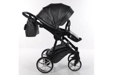 Stroller Junama TERMO LINE ECO 02, 2in1 8