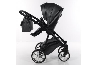 Stroller Junama TERMO LINE ECO 02, 2in1 10