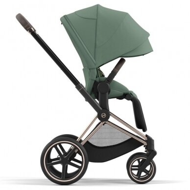 Vežimėlis Cybex Priam V4 LEAF GREEN Frame Matt Black 2in1 9